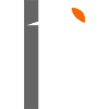 Specht am Baum - Zimmermannsvogel