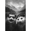 Bergsee-Pals: Otter with sunglasses