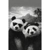 Panda-Duo am Strand mit Sonnenbrille