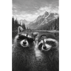 Waschbären-Duo am Bergsee Retro