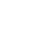 Manta ray and skull (white)