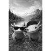 Axolotl buddies at the mountain lake