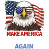 Makes America Healthy Again
