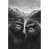 Gorilla Duo Mountain Lake