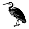 Great Blue Heron