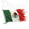 Mexico Pride & Home Mexican Mexico Flag