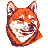 Shiba Inu Portrait