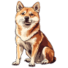 Shiba Inu Drawing