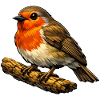 Robin on Tribe Cartoon