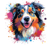 Australian Shepherd Bunte Hunde-Splash-Kunst