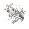 Pike Angler