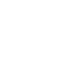 Surfer