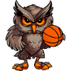 Basketball Owl
