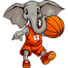 Basketball Elefanten