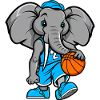 Elefant Basketball