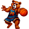 Bären Basketball 