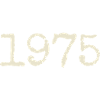 1975 Birthday Gift - Awesome since 1975