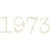 1973 Birthday Gift - Awesome since 1973