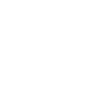 Disc Golf Basket Icon
