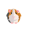 TwoTone Guinea Pig Wheek Icon