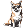 Shiba with sunglasses