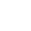 Polarfuchs