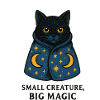 Cat magic in a starry mantle