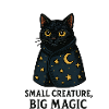 Moonlit Night Cat Star Cape