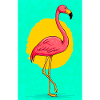 flamingo