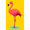 flamingo