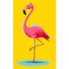flamingo
