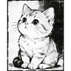Cat Sketch Black & White