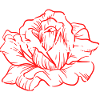 Red Rose Line Art