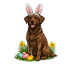 Easter Labrador with Bunny Ears