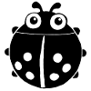Black ladybug