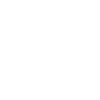 White ladybug