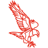 Red eagle in flight