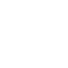 Aigle blanc en vol