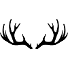Deer Antlers