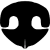 Dog nose