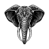 Elephant head