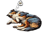 Feeling Dog Tired Australian Shepherd Aussiehalter