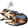 Australian Shepherd Aussie Aussie Owners Aussies