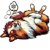 Hundemüde Australian Shepherd Aussie Aussiehalter