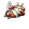 Feeling Dog Tired Australian Shepherd Aussiehalter