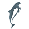 Aquarell-Delfin Silhouette