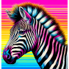 zebra