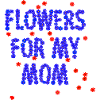 Flowers for my mom