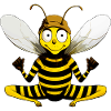 Yoga Bee