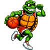 Basketball Turtle